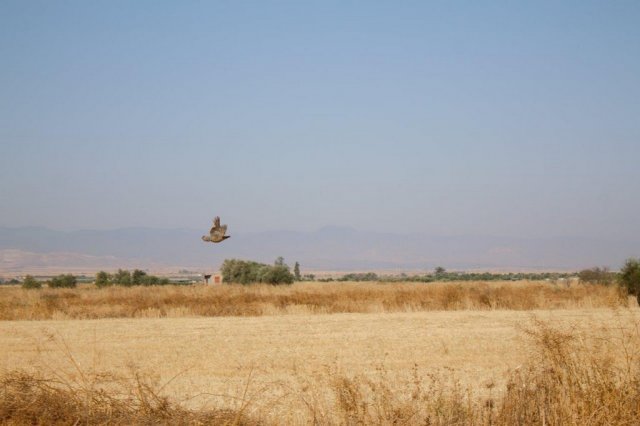 Αγωνες Α.Κ.Ι 18/6/2017